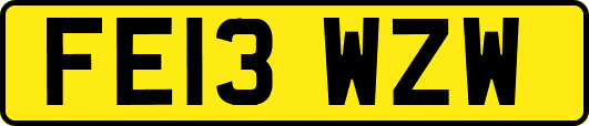 FE13WZW
