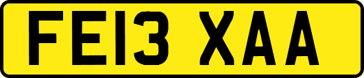 FE13XAA