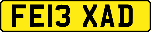 FE13XAD