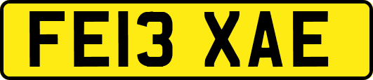 FE13XAE