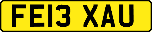 FE13XAU