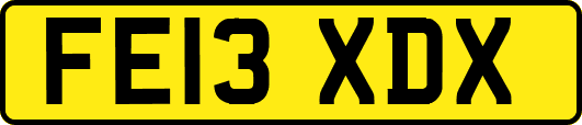 FE13XDX