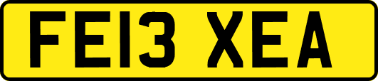 FE13XEA