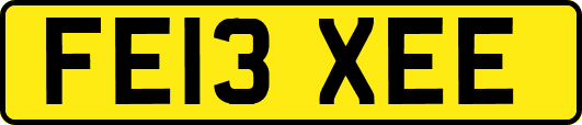 FE13XEE