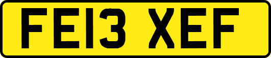 FE13XEF