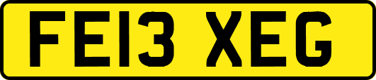 FE13XEG