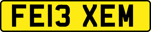 FE13XEM