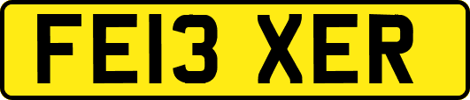 FE13XER