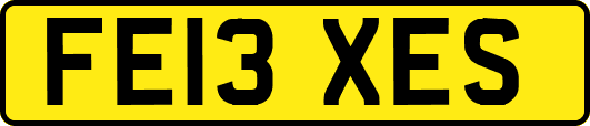 FE13XES