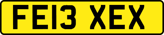 FE13XEX