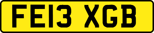 FE13XGB
