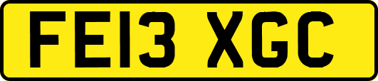 FE13XGC