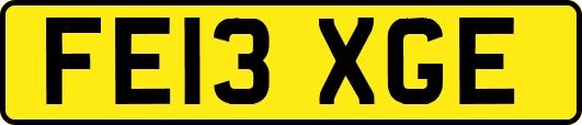 FE13XGE