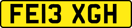 FE13XGH