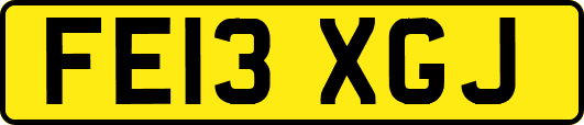 FE13XGJ