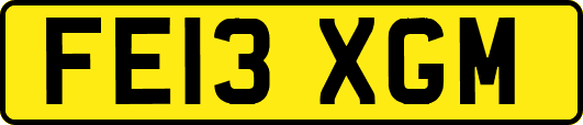 FE13XGM