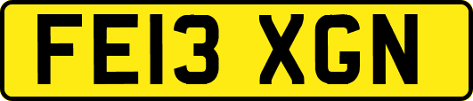 FE13XGN