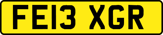 FE13XGR