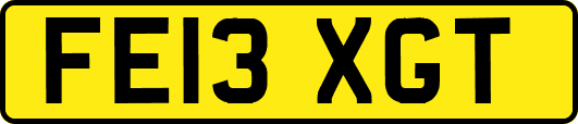 FE13XGT