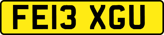 FE13XGU