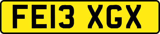 FE13XGX