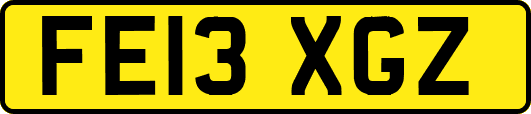 FE13XGZ