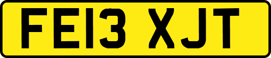 FE13XJT