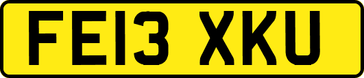 FE13XKU