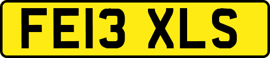 FE13XLS