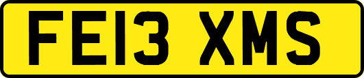 FE13XMS