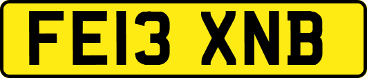 FE13XNB