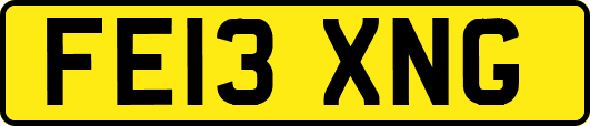 FE13XNG