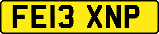 FE13XNP