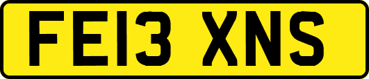 FE13XNS