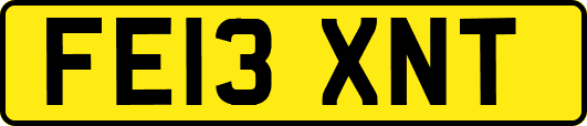 FE13XNT
