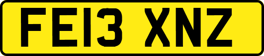 FE13XNZ