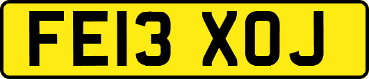 FE13XOJ