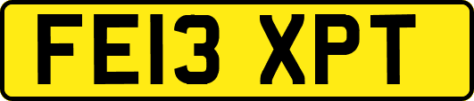 FE13XPT