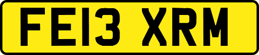 FE13XRM