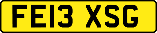 FE13XSG