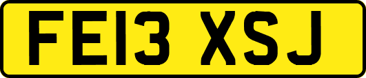 FE13XSJ