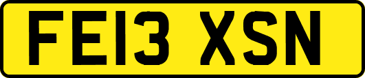 FE13XSN