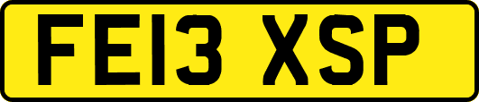 FE13XSP