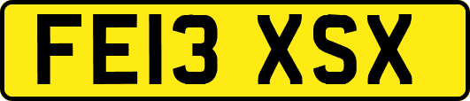 FE13XSX