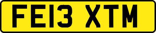 FE13XTM