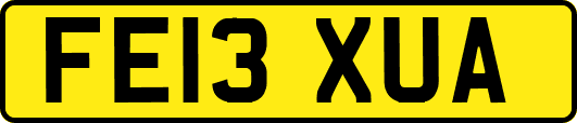 FE13XUA