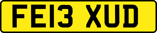 FE13XUD