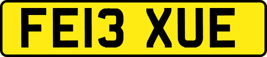 FE13XUE