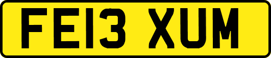 FE13XUM