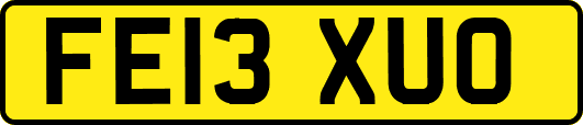 FE13XUO